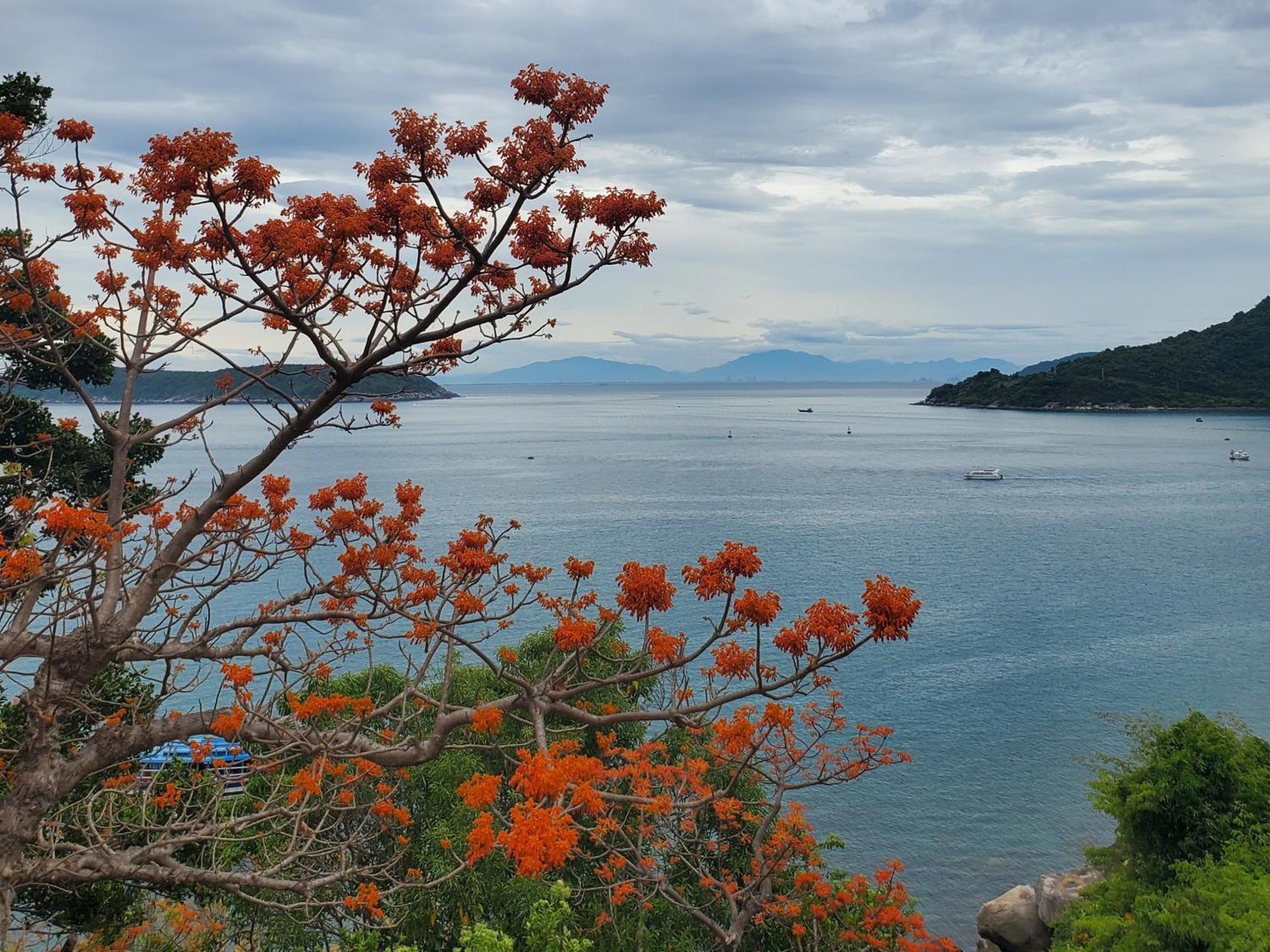 Tuan Thanh Homestay Tân Hiệ Dış mekan fotoğraf